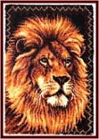 Tapico